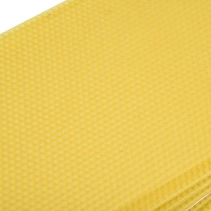 Plastic Bee Hive Foundation with Natural Beeswax Coating 10 Pack - No Reinforcement Needed for Deep Frames 8.26x16.65