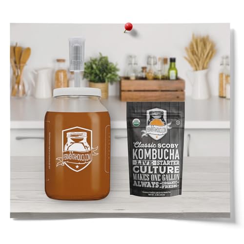 Airtight One Gallon Standard Fermentation Lid Gasket with Airlock - Turns Gallon Jar Into A Fermenter - Hard Kombucha, Beer, Wine, Cider, (3-Piece Airlock)