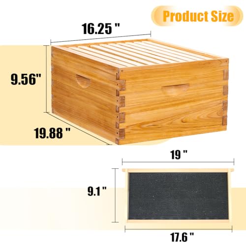 Honey Lake 10-Frame Langstroth Beehive Starter Kit, Beeswax Coated Complete Bee Hive Includes 2 Deep Brood Boxes and 1 Medium Super Bee Boxes with Beehive Frames and Foundations (3 Layer)