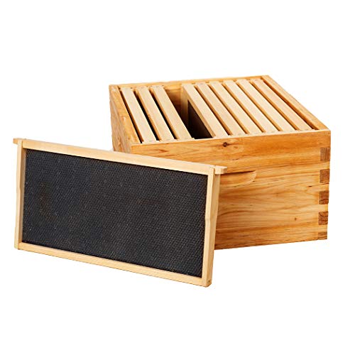 BeeCastle Heavy Wax Coated Unassembled Langstroth Deep/Brood Box with Frames and Beeswax Coated Foundation Sheet (10 Frame) - size: 10 Frame