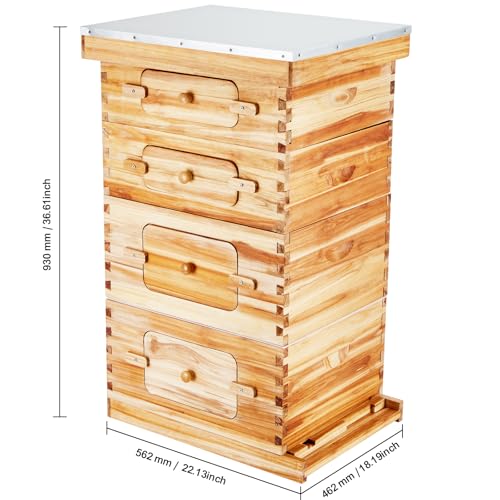 Bee Hive 40 Frame Bee Hives Starter Kit, Beeswax Coated Cedar Wood, 2 Deep + 2 Medium Bee Boxes Langstroth Beehive Kit, Transparent Acrylic Windows with Foundations for Beginners Pro Beekeepers Stur