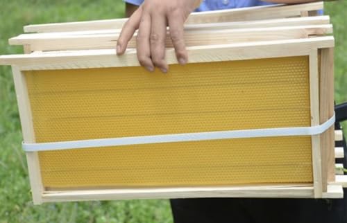 Bee Hive Langstroth Frames DEEP size 100% Bee Wax Foundation with Wire- 20 PACK