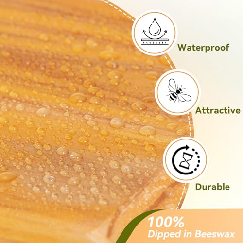 8 Frame Bee Hive Complete Beehive Kit Dipped in Beeswax Include Beehive Frames and Waxed Foundation Sheets for Beekeeping (1 Deep Brood & 1 Medium Super Bee Boxes) - size: 2 layer