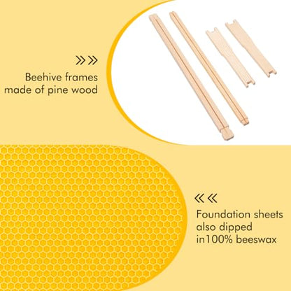 Honey Lake Deep Beehive Frames and Foundations Kit, 10 Pack Brood Wooden Frames and Natural Beeswax Dipped Plastic Foundation for Beekeeping - color: 10Pack-Yellow