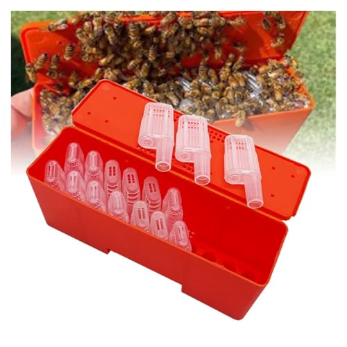1 Set Beekeeping Tools Queen Bee Transport Box with Cages Rearing Equipment Cell Plastic Incubator Beekeeper