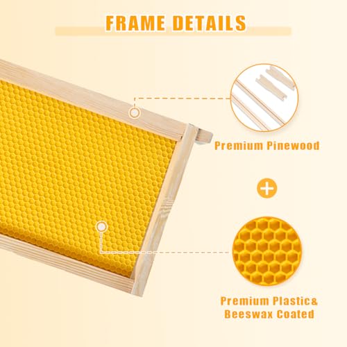 POLLIBEE 8 Frame Beehive Starter kit, Beeswax Coated Hive for Beekeeper, Langstroth Bee Hives Include 2 Deep and 1 Medium Bee Box with Bee Frames and Foundations(Unassembled) - size: 8 Frame-3L