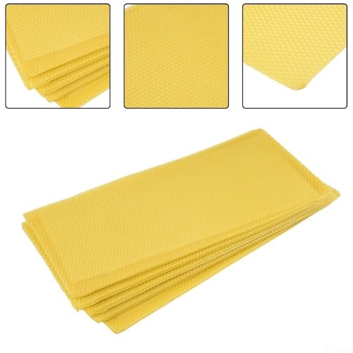 10pcs Beehive Foundation, Beehive Waxed Coated Foundation Sheet Beeswax Foundation Sheet Beekeeping Equipment