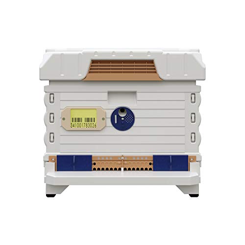 Apimaye Ergo Insulated 10 Frame Bee Hive Set [NO Frames Included] (Single Hive, White Body Blue Entrance) - color: White Body Blue Entrance