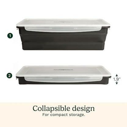 Cuisinart XL Collapsible Marinating Container, Large Capacity Grill Accessories Perfect for BBQs and Tailgates, Marinade and Brining Prep, Collapsible Silicone for Easy Storage (Pack of 4) - size: (Pack of 4)