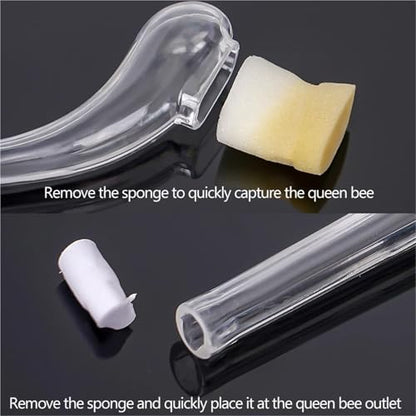 Queen Bee Cage 30pcs Beekeeping Bee Queen Catcher Plastic Cage Bees Carry Transfer Tools Isolation Box Not Harming Beekeeper for Beekeeping Supplies