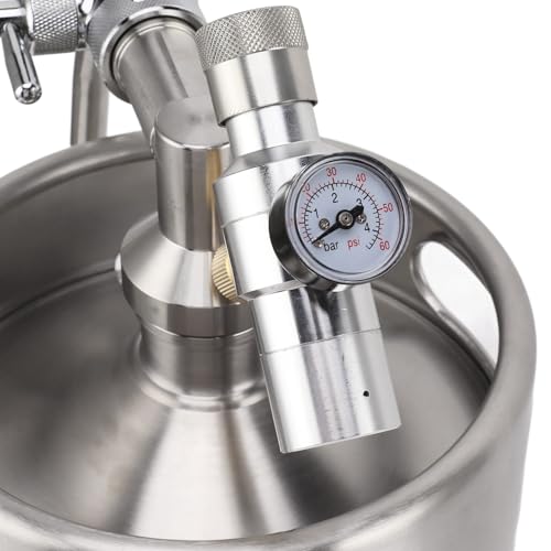 Portable Beer Growler, 5L Stainless Steel Mini Keg with Dispense Tap and Pressure Regulator for Homebrew Craft Beer, Draft Dispenser System for Home
