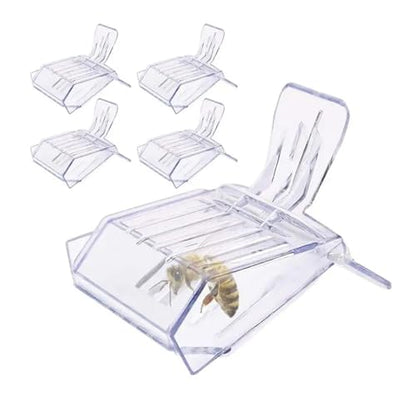 Queen Bee Cage 16pcs Bee Queen Cage Transparent Plastic Clip Catcher Box Clamp Beekeeping Equipments Beekeeper Equip