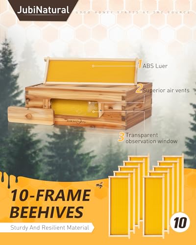 10-Frame Langstroth Medium Super Bee Hive Box with Frames | Medium honey super with 10 frames, foundation, beeswax-coated cedar box, and observation window for hive expansion - size: Medium Bee Box