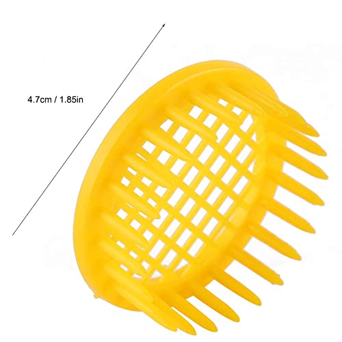 PayPie 6 Pcs Beekeeping Rearing Box Plastic Queen Bee Cages for Isolation of Queen Beel Beekeeping Equipment