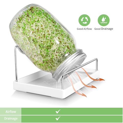 Seed Sprouting Jar Kit - 2 Wide Mouth Mason Jars with 316 Stainless Steel Sprouting Lids Covers, Drip Tray and Stand for Growing Broccoli Alfalfa Beans Sprout (Two Jars)