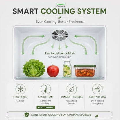 Pulmuone Kimchi Refrigerator for Kimchi Storage, Fermentation, Freezer, Fridge, & Alcohol