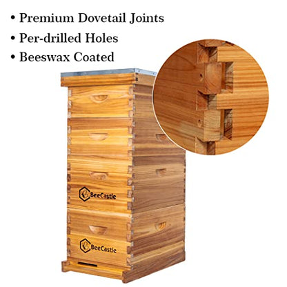BeeCastle 8 Frame Langstroth Bee Hive Coated with Beeswax Includes Beehive Frames and Waxed Foundations (2 Deep Boxes & 2 Medium Boxes)