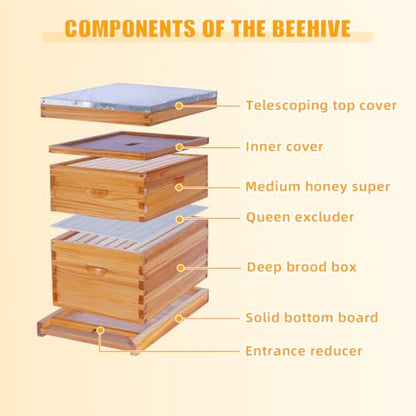 POLLIBEE 8 Frame Beehive Beeswax Coated Langstroth Bee Hives Include 1 Deep Boxes and 1 Medium Bee Box with Beehive Frames and Foundations(Unassembled) - size: 8 Frame-2L