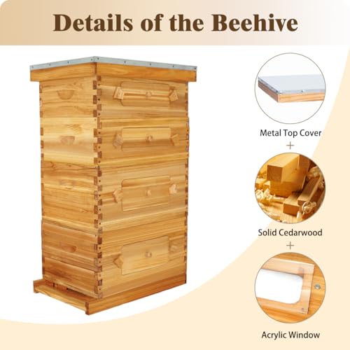BeeCastle 10 Frame Langstroth Bee Hive with Windows Beeswax Coated Includes Beehive Frames and Waxed Foundations (2 Deep Beehive Boxes & 2 Medium Bee Boxes) - size: 2 Deep & 2 Super Boxes