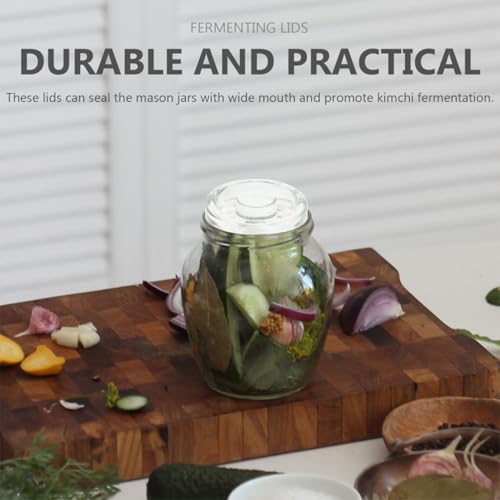 Didiseaon 4pcs Glass Fermentation Weights for Wide Mouth Jars and Pickle Jars Kitchen Canning Lids Kit and Fermenting Foods