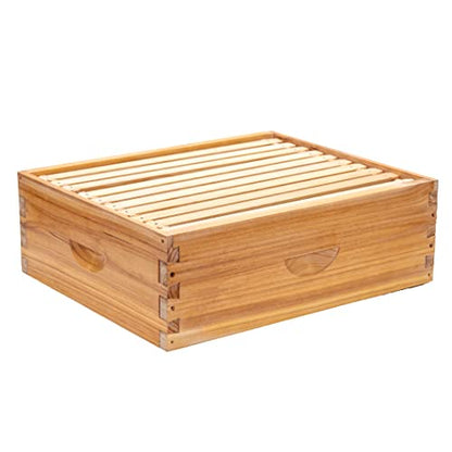 Honey Lake 10 Frame Medium Super Bee Hive Box, Langstroth Beehive Super Honey Bee Box Dipped in Beeswax Include Beehive Frames and Waxed Foundations for Beginners Beekeepers (Unassembled) - size: 10-Frame Medium