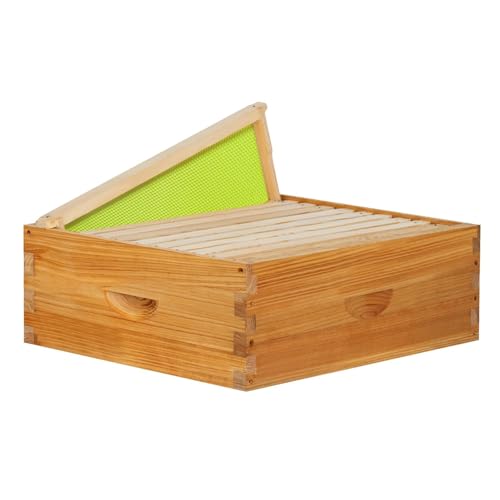 10 Frame Medium Super Bee Box Langstroth Bee Hive 100% Dipped in Beeswax, Honey Supers Beebox Sections of Wood for Beehives Include Beehive Frames and Green Wax Foundations, 1 Set(Unassembled) - size: Medium 10pack