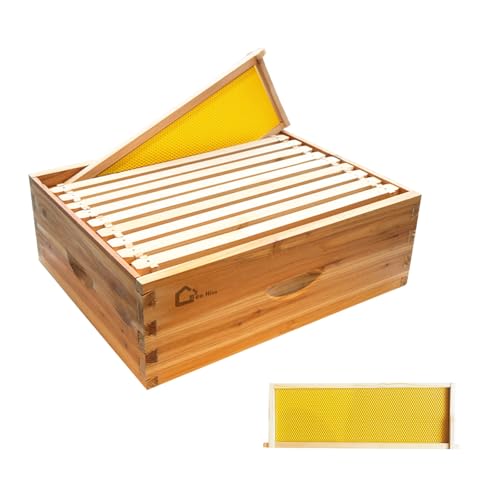 10 Frame Medium Super Bee Hive Box, Langstoth Beehive Honey Super Box, Bee Box Dipped in 100% Beeswax Includes Wooden Beehive Frames & Waxed Foundations for Beginner Beekeeper