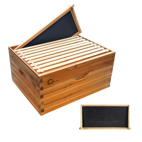 TrailBlaze Langstroth 10 Frame Deep Brood Beehive Box, Wax Coated Cedar Beehive with Pine Frames, Dovetail Joints Waterproof Easy Assembly, Beekeeping Supplies for Beginner & Pro