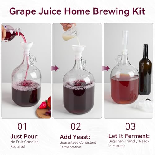 Wine Making Kit Home Brewing - Complete Grape Juice Brew Starter Set for Beginners, 1 Gallon Glass Fermentation Jar with 4 Bottles, Yeast & Nutrients, Siphon, Airlock and Step-By-Step Guide
