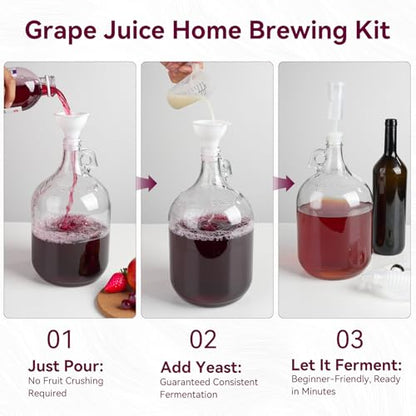 Wine Making Kit Home Brewing - Complete Grape Juice Brew Starter Set for Beginners, 1 Gallon Glass Fermentation Jar with 4 Bottles, Yeast & Nutrients, Siphon, Airlock and Step-By-Step Guide