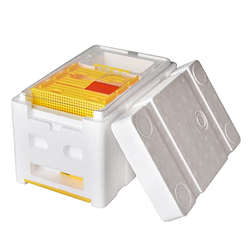 1set Nuc Box for Bees,Foam Beehive Kit with 3 Plastic Frames & 1 Feeder, Queen Bee Mating Rearing Hives Essential Beekeeping Supplies