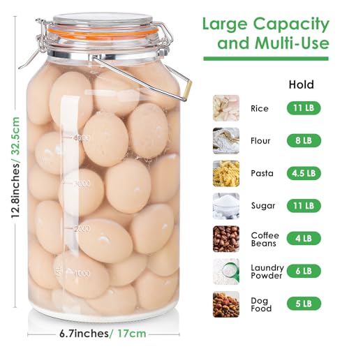 Qianfenie 1.5 Gallon Glass Jar with Airtight Lid Wide Mouth, Gallon Storage Jar with Stainless Steel Handle - Large Glass Food Storage Container with Lid for Flour, Sugar, and Dog Treats
