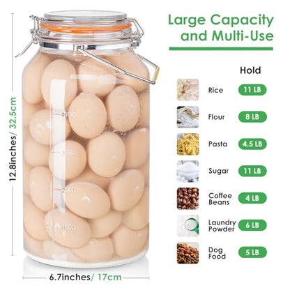 Qianfenie 1.5 Gallon Glass Jar with Airtight Lid Wide Mouth, Gallon Storage Jar with Stainless Steel Handle - Large Glass Food Storage Container with Lid for Flour, Sugar, and Dog Treats