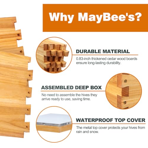 MayBee 8-Frame Beehive Starter Kit, Bee Hive Kit Dipped in 100% Beeswax, Bee Hives Boxes Starter Kit Includes Beekeeping Supplies Tool Kit and Bee Suit