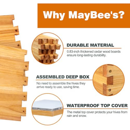 MayBee 8-Frame Beehive Starter Kit, Bee Hive Kit Dipped in 100% Beeswax, Bee Hives Boxes Starter Kit Includes Beekeeping Supplies Tool Kit and Bee Suit