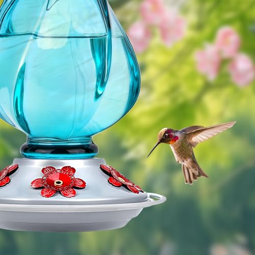 Hummingbird Feeder, BOLITE Glass Hummingbird Feeders for Outdoors Hanging, with Ant Moat and Five Feeding Ports, 22 Ounces, Leak Proof, Blue Bottle - color: Ruby Blue