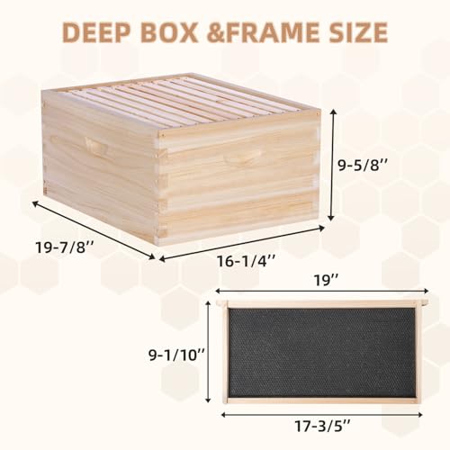POLLIBEE 10 Frame Langstroth Beehives,Bee Keeping Starter Kit Includes 1 Deep Box & 1 Medium Box with Beehive Frames and Foundations,Complete Beehive Kit for Beekeeper - size: 1 Super+1 Deep