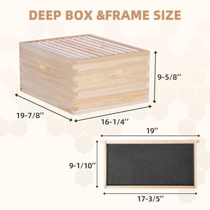 POLLIBEE 10 Frame Langstroth Beehives,Bee Keeping Starter Kit Includes 1 Deep Box & 1 Medium Box with Beehive Frames and Foundations,Complete Beehive Kit for Beekeeper - size: 1 Super+1 Deep