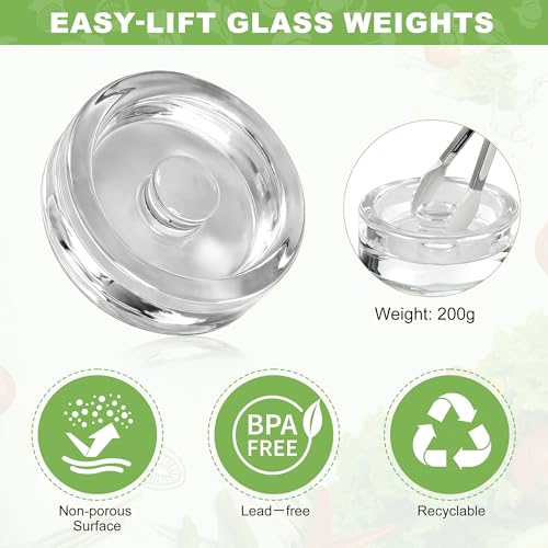 Fermentation Kit for Wide Mouth Mason Jars (86mm), 316 Stainless Steel Fermentation Lids, Glass Weights, Airlock System, Complete Home Fermenting Set (Jars Not Included)