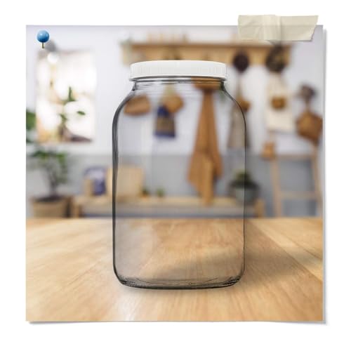 Fermentaholics Jun Kombucha Essentials Kit - ORGANIC JUN SCOBY (starter culture) + 1-Gallon Glass Fermenting Jar, Breathable Cover, Rubber Band, & Adhesive Thermometer - Brew jun kombucha at Home