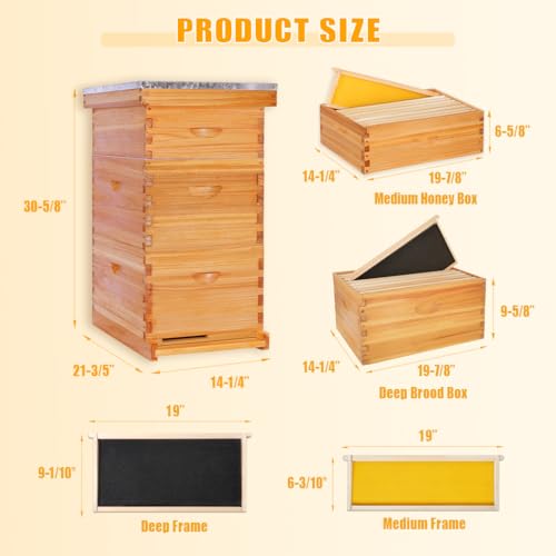 POLLIBEE 8 Frame Beehive Starter kit, Beeswax Coated Hive for Beekeeper, Langstroth Bee Hives Include 2 Deep and 1 Medium Bee Box with Bee Frames and Foundations(Unassembled) - size: 8 Frame-3L