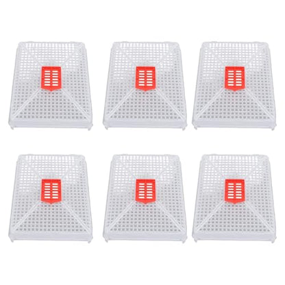 Fdit Square Buckle Queen Bee Cage, Plastic Rearing Cage for Beekeeping with Fine Mesh Grid, Food Grade Lightweight Tool, Introduction of Queens, Anti Escape