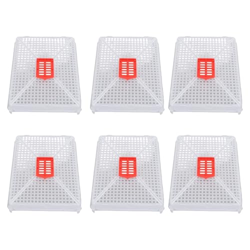 Fdit Square Buckle Queen Bee Cage, Plastic Rearing Cage for Beekeeping with Fine Mesh Grid, Food Grade Lightweight Tool, Introduction of Queens, Anti Escape