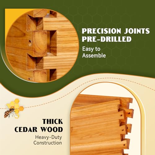 MayBee 10-Frame Langstroth Beehive Dipped in 100% Beeswax, Complete Bee Hives and Supplies Starter Kit Includes 2 Deep Hive Bee Box and 2 Bee Hive Super with Beehive Frames and Foundation