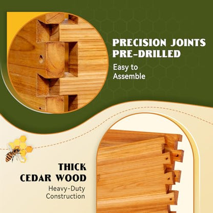 MayBee 10-Frame Langstroth Beehive Dipped in 100% Beeswax, Complete Bee Hives and Supplies Starter Kit Includes 2 Deep Hive Bee Box and 2 Bee Hive Super with Beehive Frames and Foundation