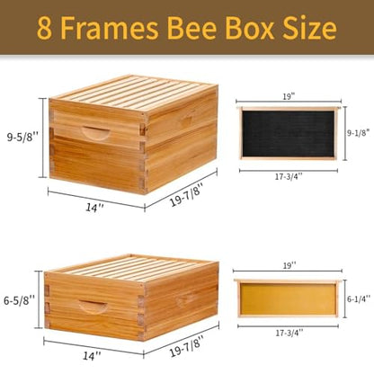 Beginner 8 Frame Bee Hive Beeswax Coated Includes Beehive Frames and Foundations (1 Deep Box & 1 Medium Box)