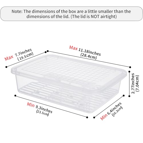 77L Food Storage Container, (3-Pack) Plastic Food Containers with Removable Drain Plate and Lid, Stackable Portable Freezer Storage Containers - Tray to Keep Fruits, Vegetables, Meat and More