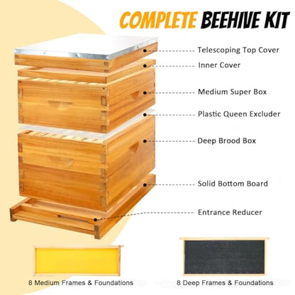Honey Lake 8-Frame Beehive Complete Bee Hive Boxes Starter Kit Dipped in Beeswax Includes Beehive Frames and Waxed Foundations Sheets (1 Deep Brood Bee Box & 1 Medium Super Box)