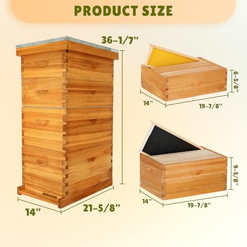 8-Frame Bee Hive Complete Beehive Kit Beeswax Coated Beehive Include Frames and Foundation Sheets for All Beekeeping Levels (2 Deep & 2 Medium Bee Boxes) - size: 4 layer