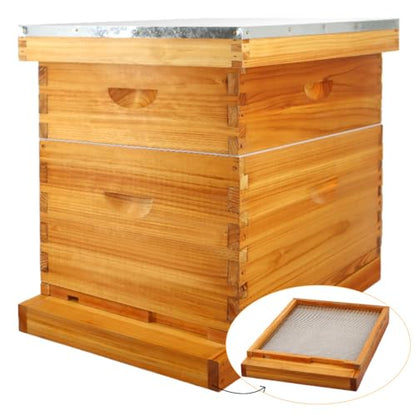 MayBee 10 Frame Screened Bottom Board Beehive Dipped in Original Beeswax, Bee Hives Kit Includes 1 Deep Box & 1 Medium Box with Beehive Frames and Wax Coated Foundations